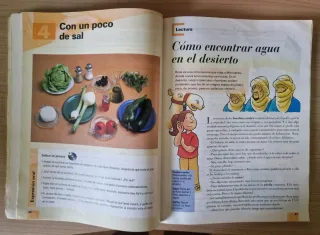 Lengua castellana 6, ISBN 9788430737963