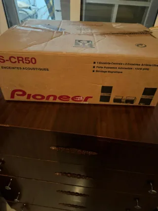 Altavoces Pioneer Negros y Plateados