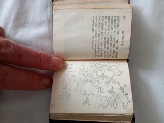 Libro Platero y Yo Juan Ramón Jiménez.