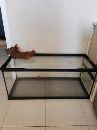 Terrario de cristal con tapa de rejilla