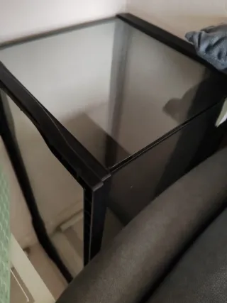 Terrario de cristal con tapa de rejilla