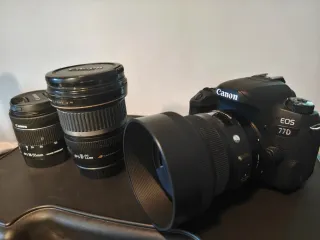 Cámara Canon 77D en perfecto estado con lentes.