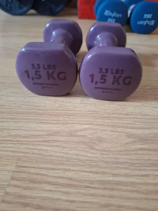Mancuernas 1.5 kg (3.3 LBS) Morado