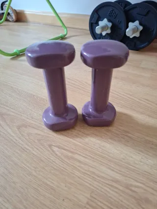 Mancuernas 1.5 kg (3.3 LBS) Morado