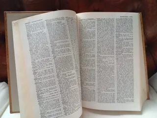 Diccionario Real Academia Española