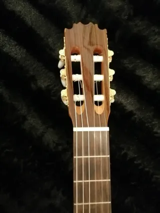 Guitarra Caro Generalife