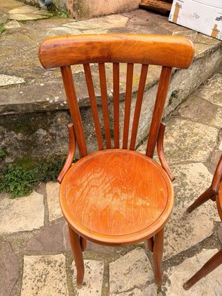 Sedie in legno stile Thonet