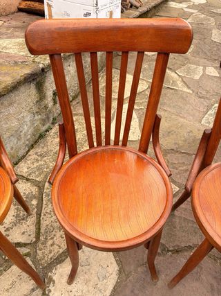 Sedie in legno stile Thonet