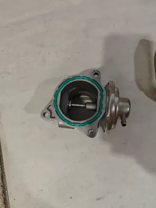 Válvula EGR y Cuerpo Mariposa 2.0 TDI VAG