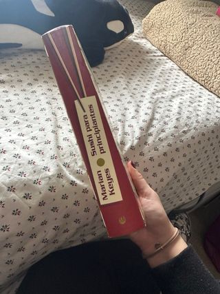 Sushi para principiantes