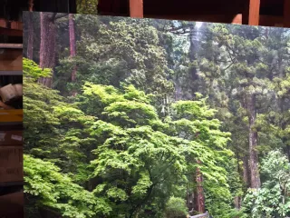 Cuadro Fotografía Alta Calidad