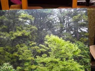 Cuadro Fotografía Alta Calidad