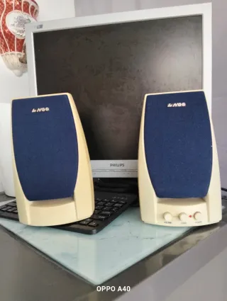 Monitor Philips y 2 altavoces NGS
