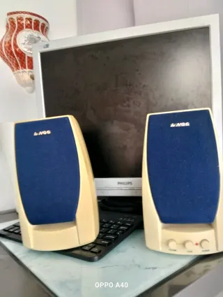 Monitor Philips y 2 altavoces NGS