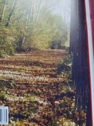 Historias de amor y sexo.