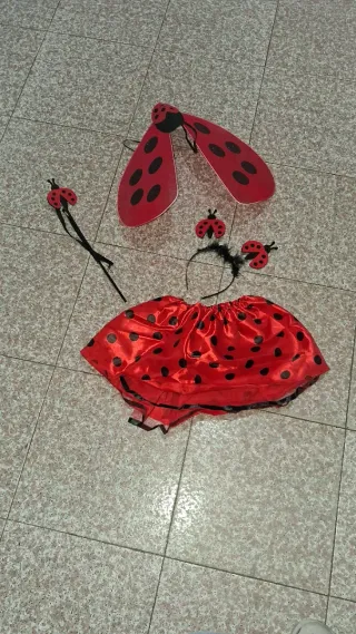 Costume Coccinella Bambina