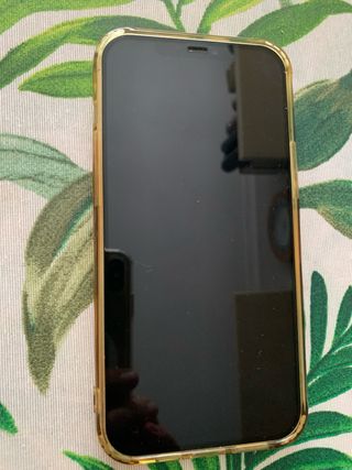 iPhone 12 Pro Max 256GB Dorado