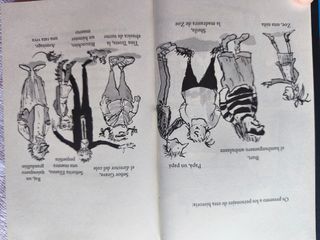 La increíble historia de... Los bocadillos de r...