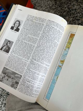 Colección libros encuadernados / diccionario