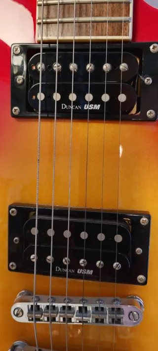Guitarra Eléctrica Washburn WIN-STD Idol