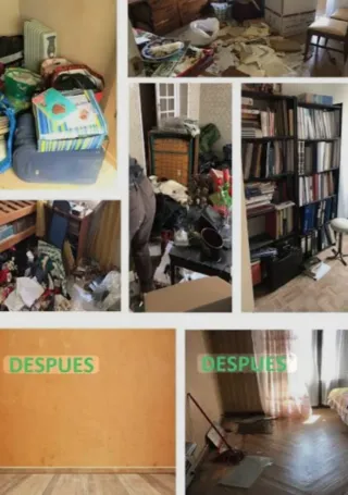 Vaciado de casas,pintura,arreglos, mantenimient