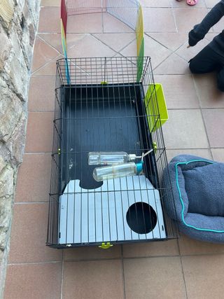 Jaula para cobayas con accesorios Urge vender!!