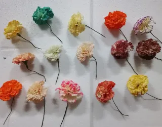 Claveles sueltos decorativos