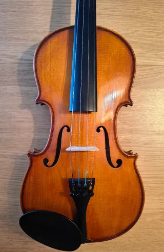 Violín 4/4 para principiantes