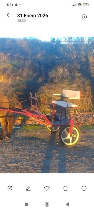 Charret con arreos de nylon