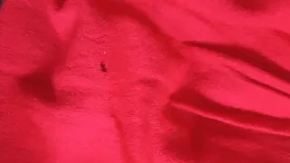 Saia Gallega Talla Única