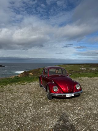 Volkswagen Beetle 1980