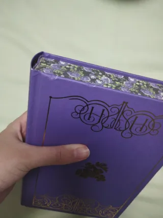 Rose in chains: Trilogía Evermore. Edición con ...