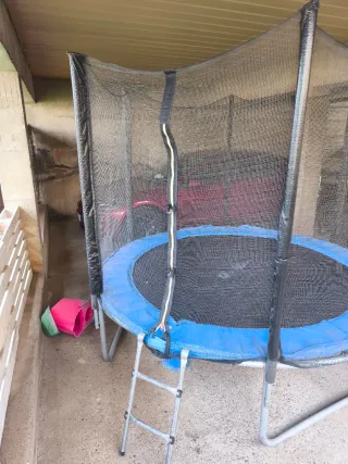 Cama elástica 250 cm con red de seguridad