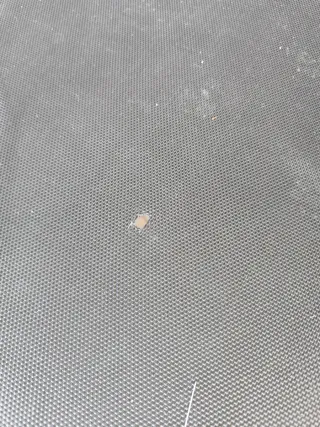 Cama elástica 250 cm con red de seguridad