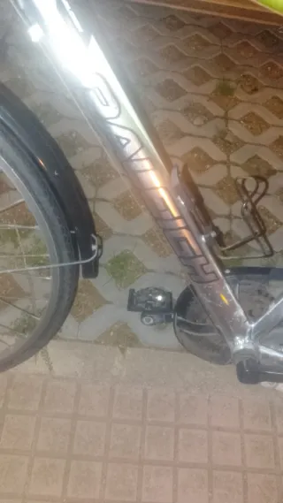 Bicicleta Raleigh Paseo Uomo