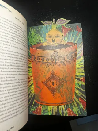 Edición especial pop-up Harry Potter