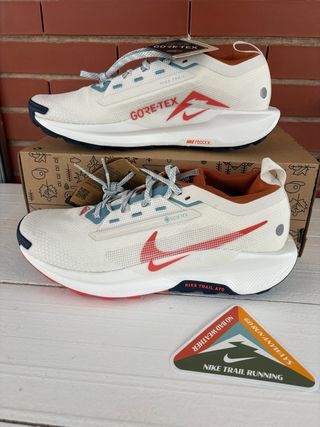 Zapatillas Nike Pegasus Trail 5 Gore-Tex