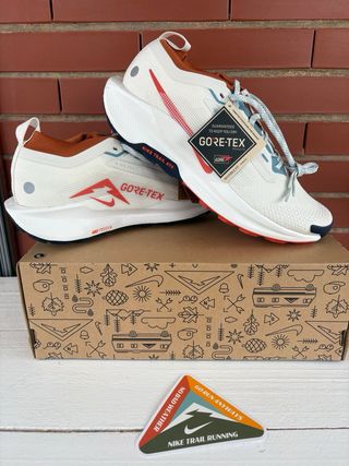 Zapatillas Nike Pegasus Trail 5 Gore-Tex