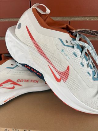 Zapatillas Nike Pegasus Trail 5 Gore-Tex