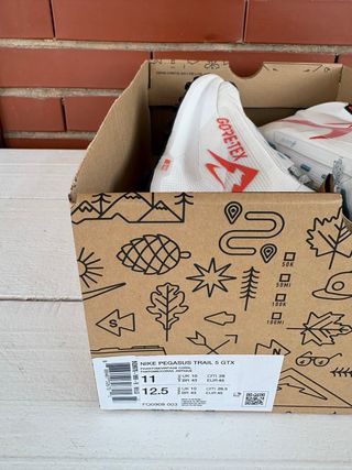 Zapatillas Nike Pegasus Trail 5 Gore-Tex