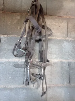 Bocado, cabezal y riendas para caballo