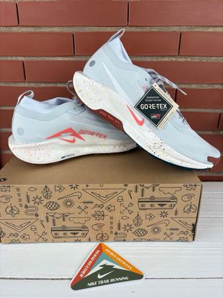 Zapatillas Nike Trail Pegasus 5 Gore-Tex