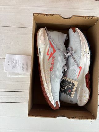 Zapatillas Nike Trail Pegasus 5 Gore-Tex