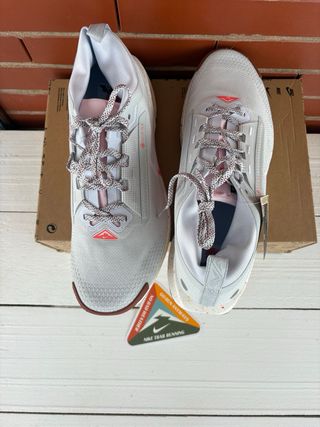 Zapatillas Nike Trail Pegasus 5 Gore-Tex