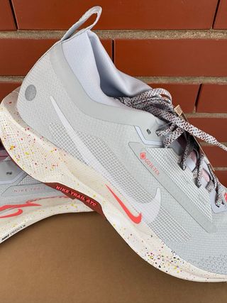 Zapatillas Nike Trail Pegasus 5 Gore-Tex