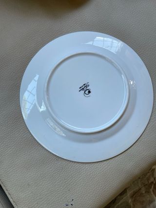 Set di stoviglie in porcellana 15 pezzi