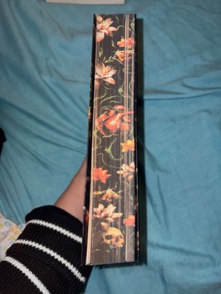 Libro Latidos de Eva Mayro