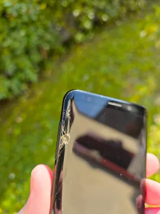 Samsung Galaxy S9 - Display Rotto