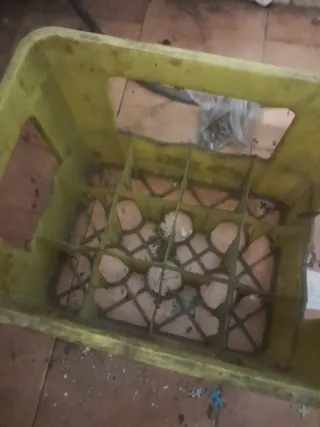 Cassetta porta bottiglie BIG drink