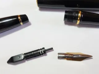 Stilografica Waterman Expert